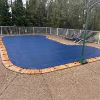 Debris and Winter pool cover