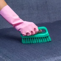 Brushes, Scrubs & Sponges