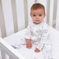 Cot and Bassinet Mattresses