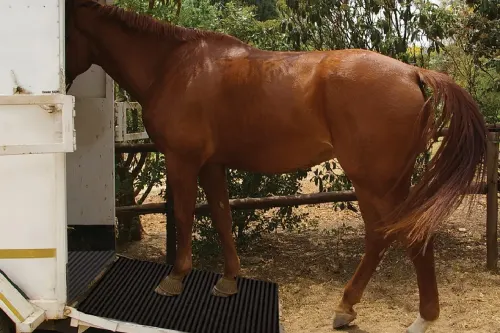 Agricultural and Farming Matting