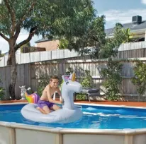 Saniteezy for Family Pools