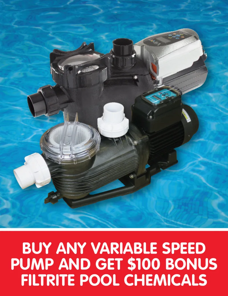 Variable speed pump