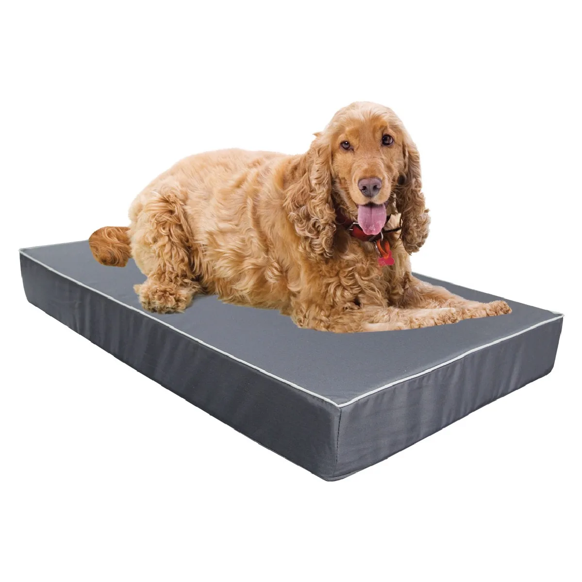 Clark rubber dog bed 2025