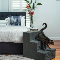 Pet Stairs 4 Small Steps