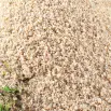 Pool Filter Sand Unicorn 20kg