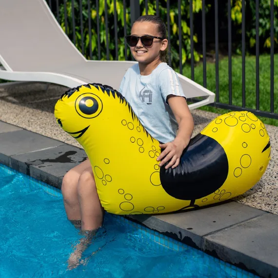 Therapeutic Riding Pool Noodle Hobby Horse 91+ Thousand Creative