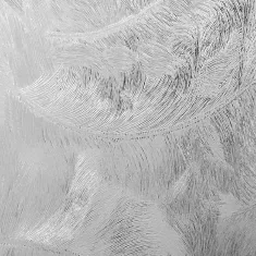 PVC Table Cover - Clear Leaves