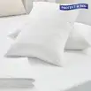 Smooth Dynatex Pillow Protector