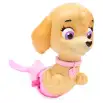 Swimways Paddlin Pups Paw Patrol
