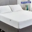 Bamboo Fitted Mattress Protector Queen