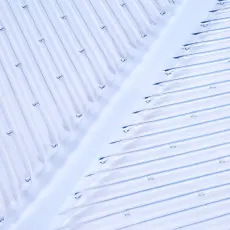 Carpet Protector