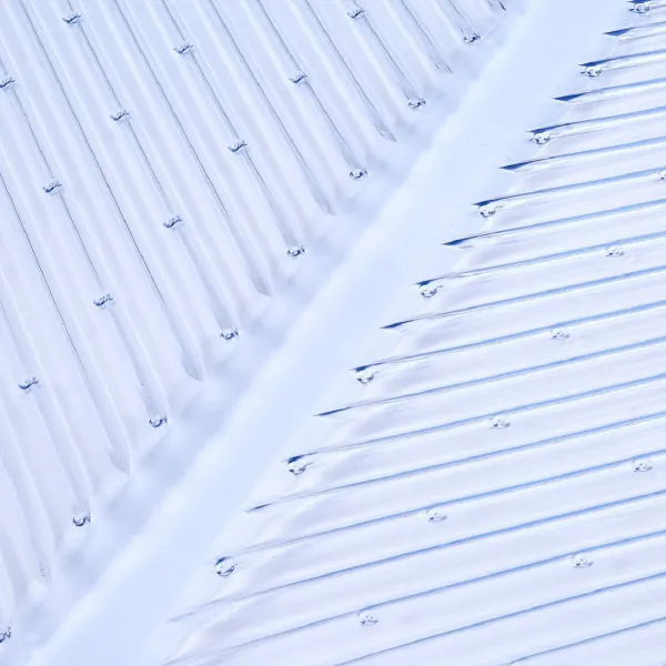 Carpet Protector