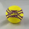 Aqua Play Ball Skim