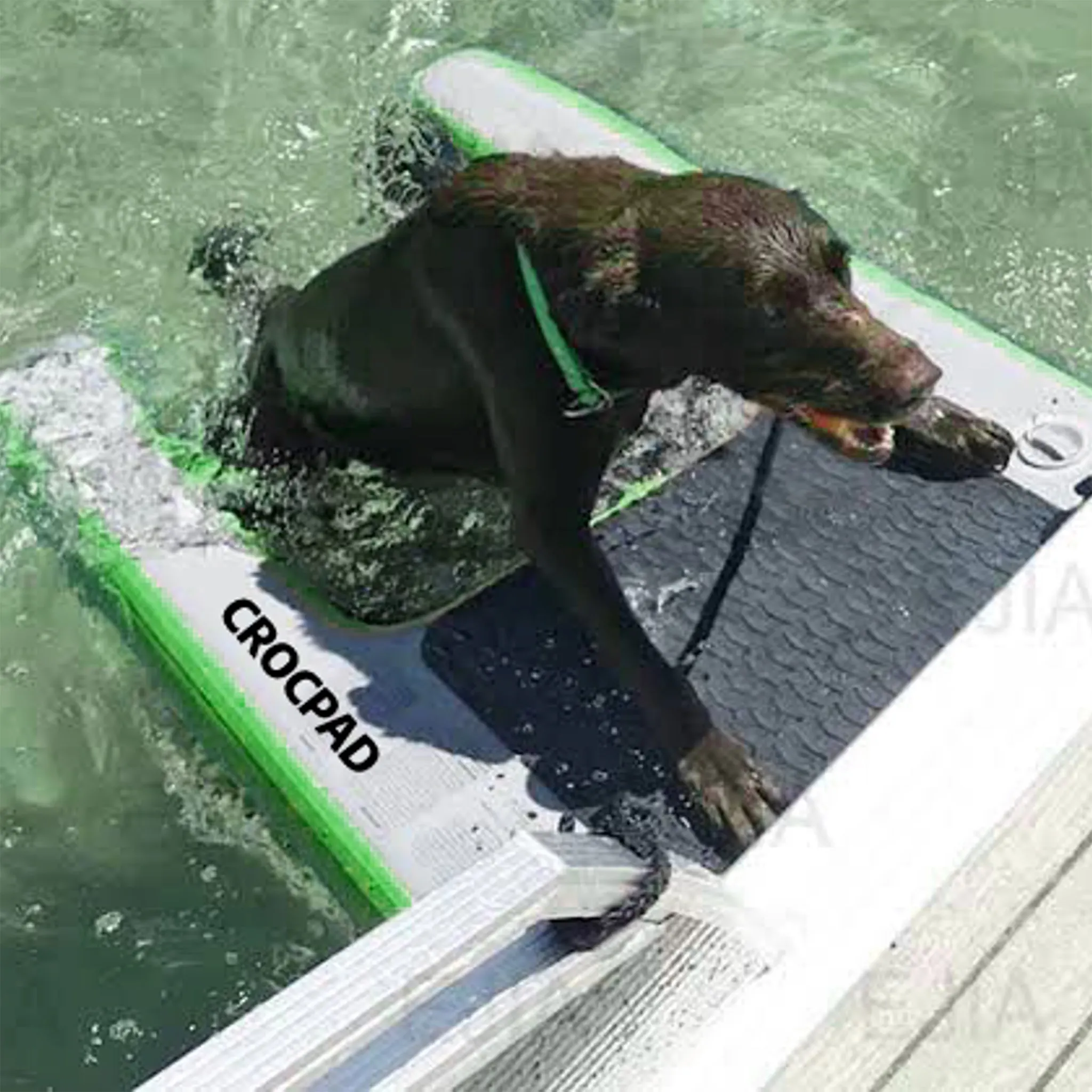 Crocpad Inflatable Dog Ramps Medium