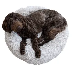 Shop Pet Accessories Online Clark Rubber