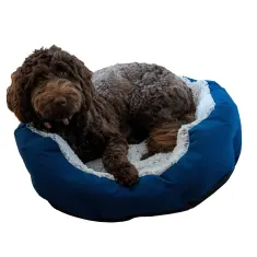 Shop Pet Accessories Online Clark Rubber