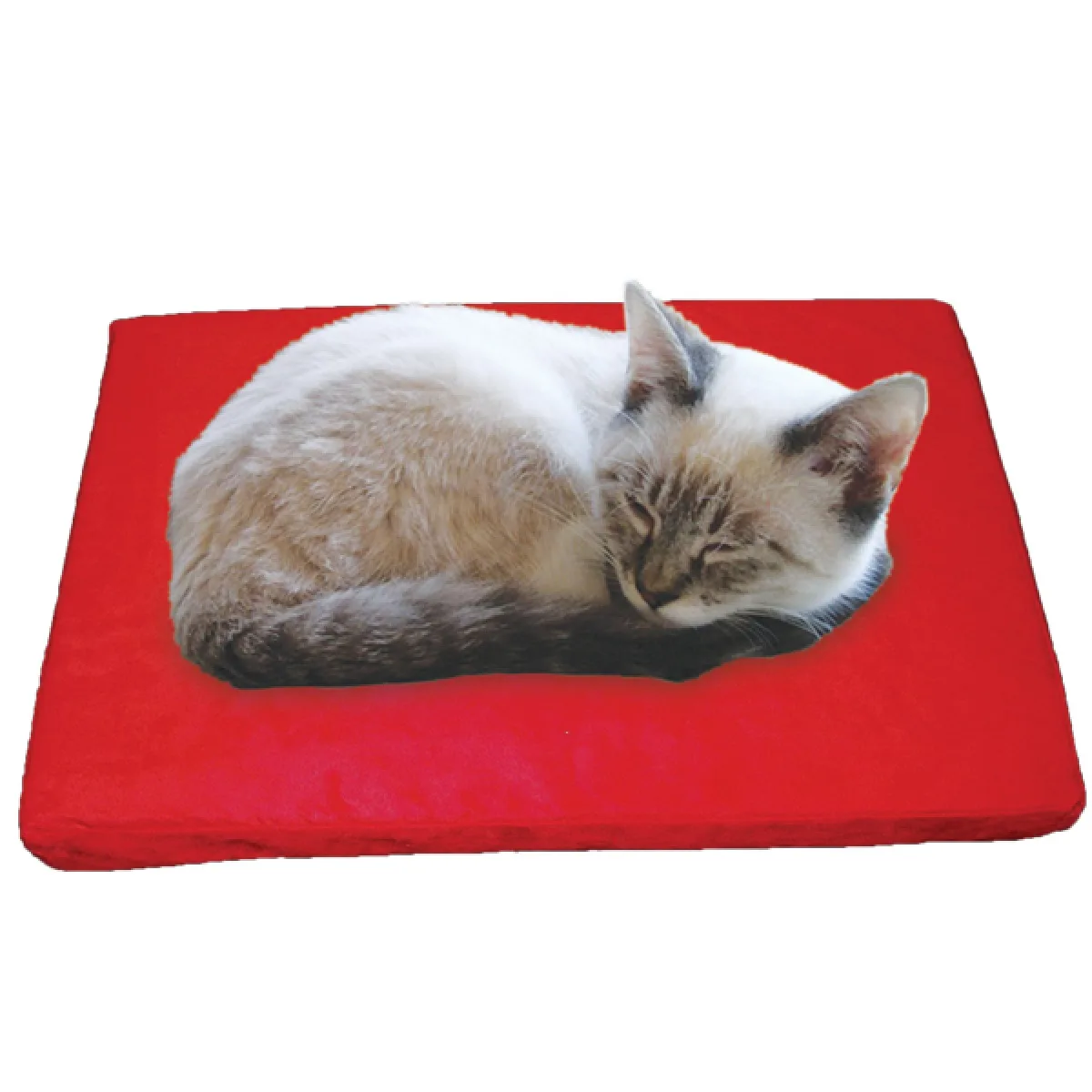 Comfort Premium Memory Foam Top Pet Bed Small (Red)
