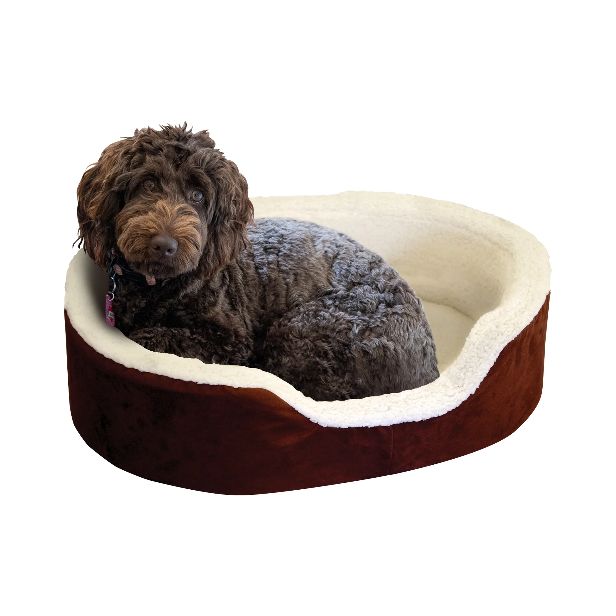 Large Comfort Premium Pet Bed
