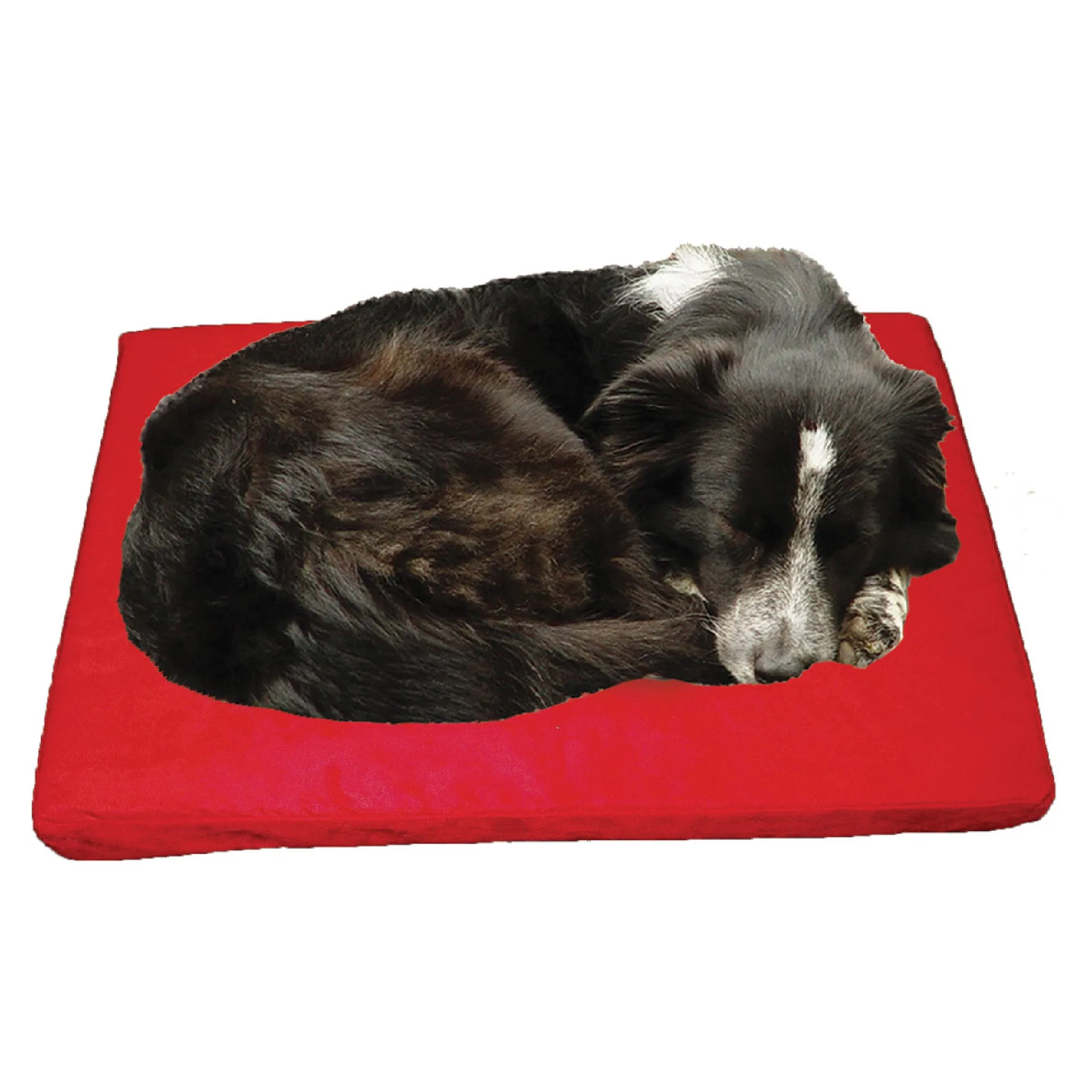 Large Comfort Premium Memory Foam Top Pet Bed