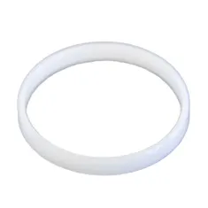 Zodiac Genuine G2 Diaphragm Retaining Ring
