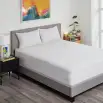 Cotton Terry Fitted Mattress Protector Single