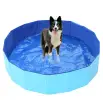 Dog Pool