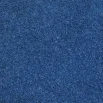 Accent Carpet Blue