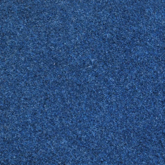 Accent Carpet Blue