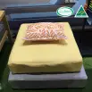 High Density Foam 36-130 50mm