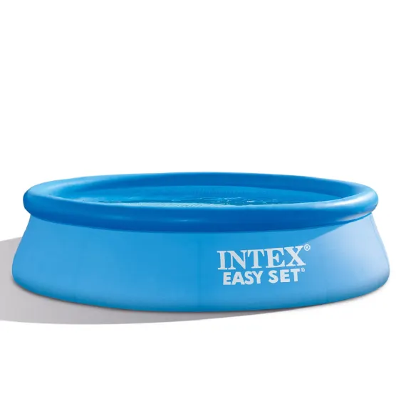 Intex 10ft Easy Set Pool