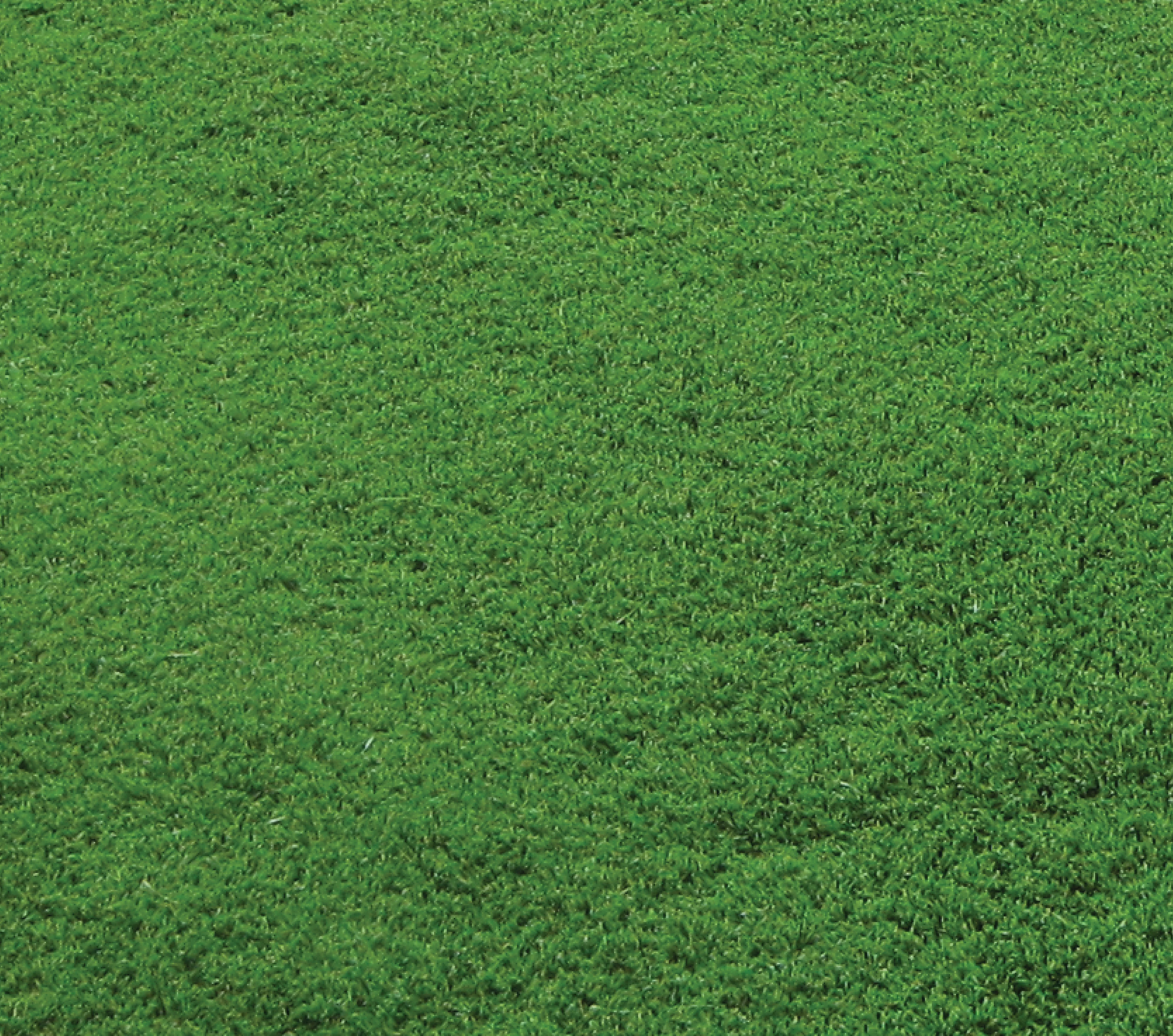 Ascot Artificial Grass