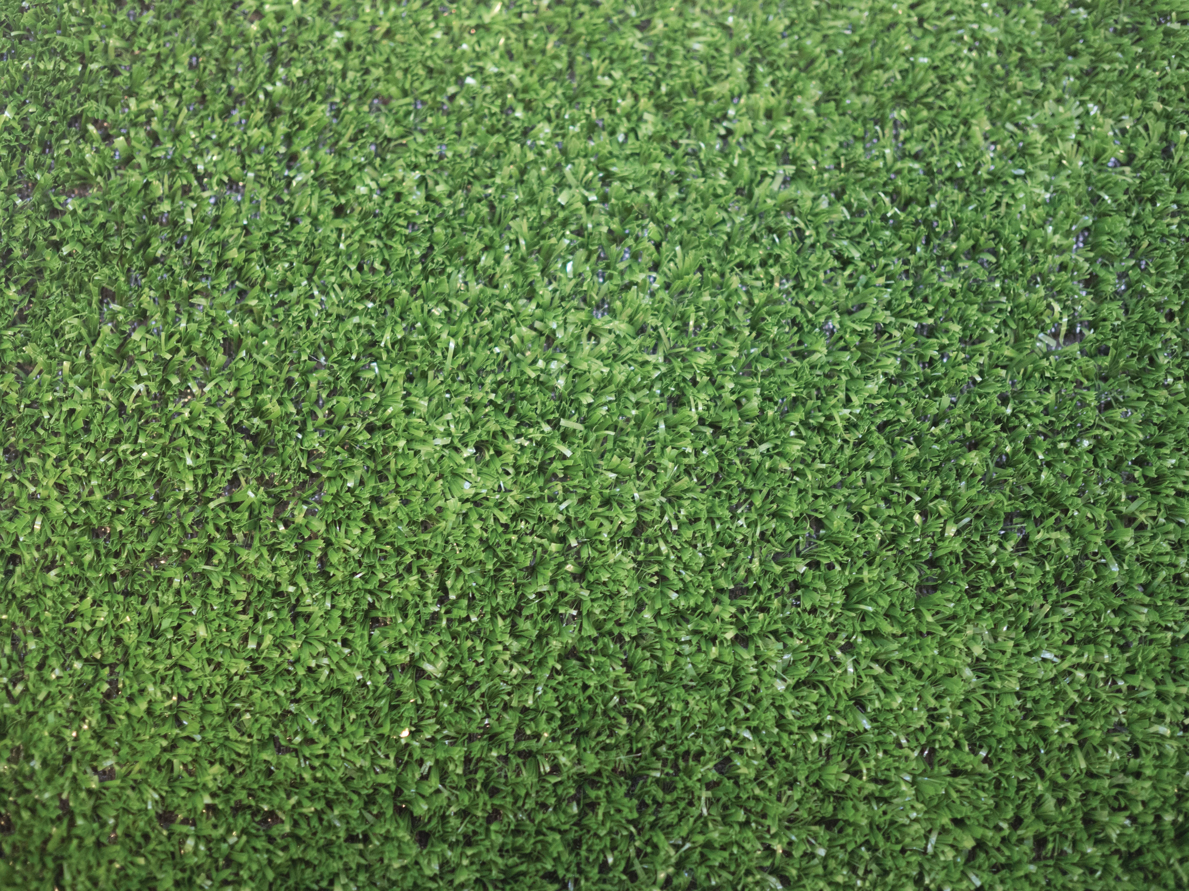 Whitfield Artificial Grass 8mm Pile