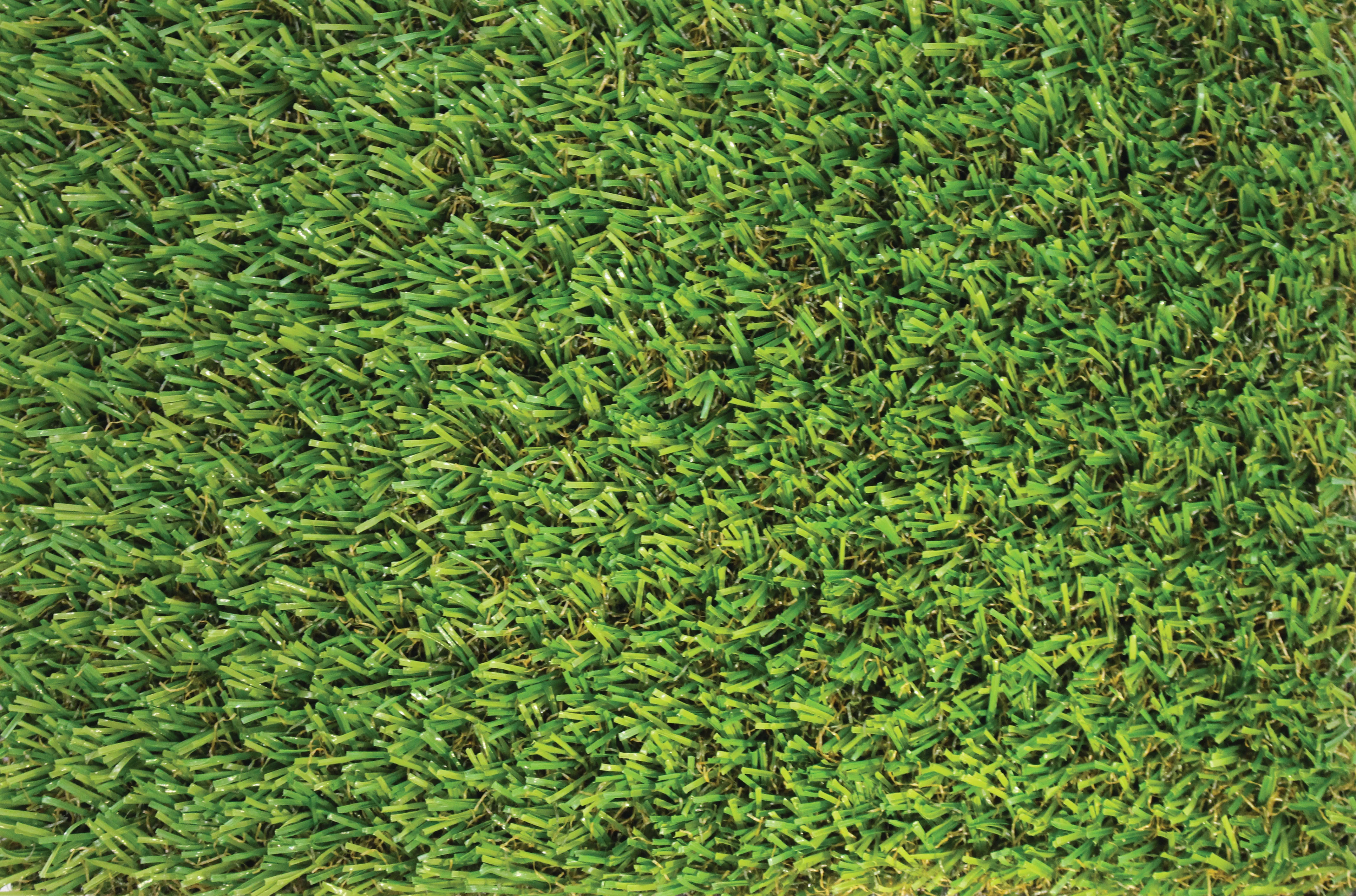 Windsor Artificial Grass