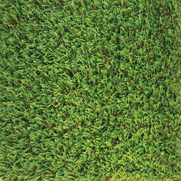 Windsor Artificial Grass